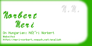 norbert meri business card